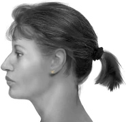 77UFTX2 LARGE.jpg (1.64 MB)