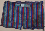 The victim's swim trunks.
