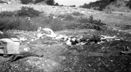 Crime scene