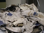 Beaver County John Doe, 2004