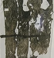 Kirk dress 1.png (411 KB) ”Dress”