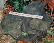 Babes in Wood Helmet.jpg (50 KB) Helmet