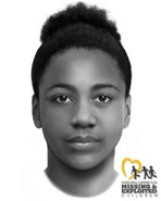York County Jane Doe, 2009