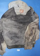 Luna County Doe, 2011