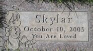 "Baby Skylar", Arizona HOMICIDE