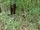 Fulton County John Doe (September 28, 2004)