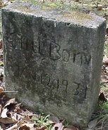 Charlotte County Doe, 1931 NATURAL