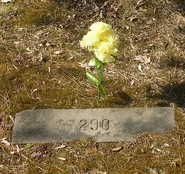 Rutland County John Doe, 1940 ACCIDENT