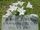 Union County Jane Doe (2007)