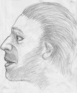 Pima County John Doe, 1995