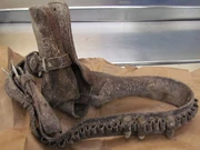 Bandolier and holster