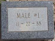 La Paz County John Doe, 1988