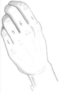 Tattoos on left knuckles