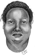 Macomb County Jane Doe, 2003 ACCIDENT