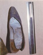 Bucks County Jane Doe shoes2