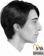 Reconstruction profile