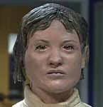 Hotcase131.jpg (20 KB)