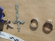 Luna County Jane Doe, 2017