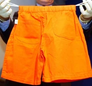 Approximation of shorts