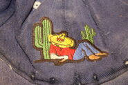 Pima County John Doe, 2017