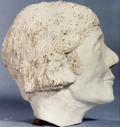 Dane County Doe side.jpg (278 KB)