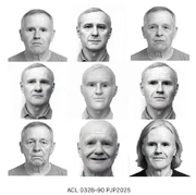 Alternate AI-guided renderings