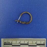 Earring