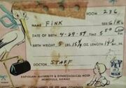 Fink birth certificate