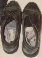 Santa Cruz County John Doe, 2000