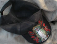 Phoenix John Doe, 2007 ACCIDENT