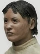 Sipesreconstruction2.jpg (11 KB)