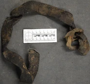 UP17241 4.jpg (3.33 MB)