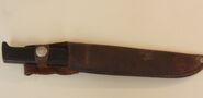 Knife and sheath