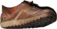 Enhanced image of boot