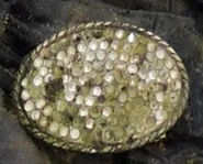 Shelby County Jane Doe, 2025