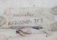 Arivaca John Doe, 2011
