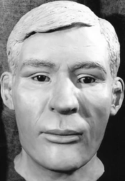 Reconstruction by LSU Faces