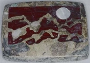 Doña Ana County John Doe, 1983