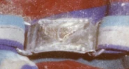 Close-up of the buckle on the victim's belt.