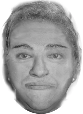 Geneva 2014 Jane Doe