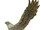 King County John Doe (2004)