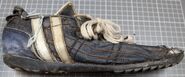 Marana John Doe, 1994 SUSPECTED HOMICIDE