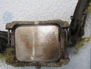 "Robert Sant," 2012 SUSPECTED NATURAL