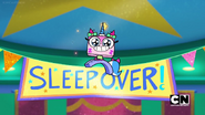 No Sleep Sleepover (20)