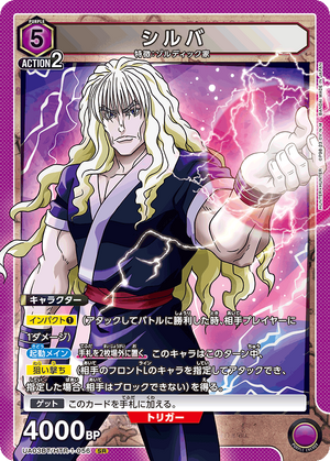 HUNTER×HUNTERカード 헌터x헌터 ハンターハンター クラピカ ステータスカード HUNTER