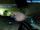 Halo Greatest Battle Trailer - Prison Break (Epic Battle - Halo CE Multiplayer Bots Mod AMV)