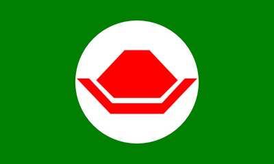 Flag of the Koopa Kingdom