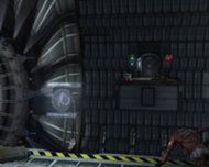Terapia Zero-G