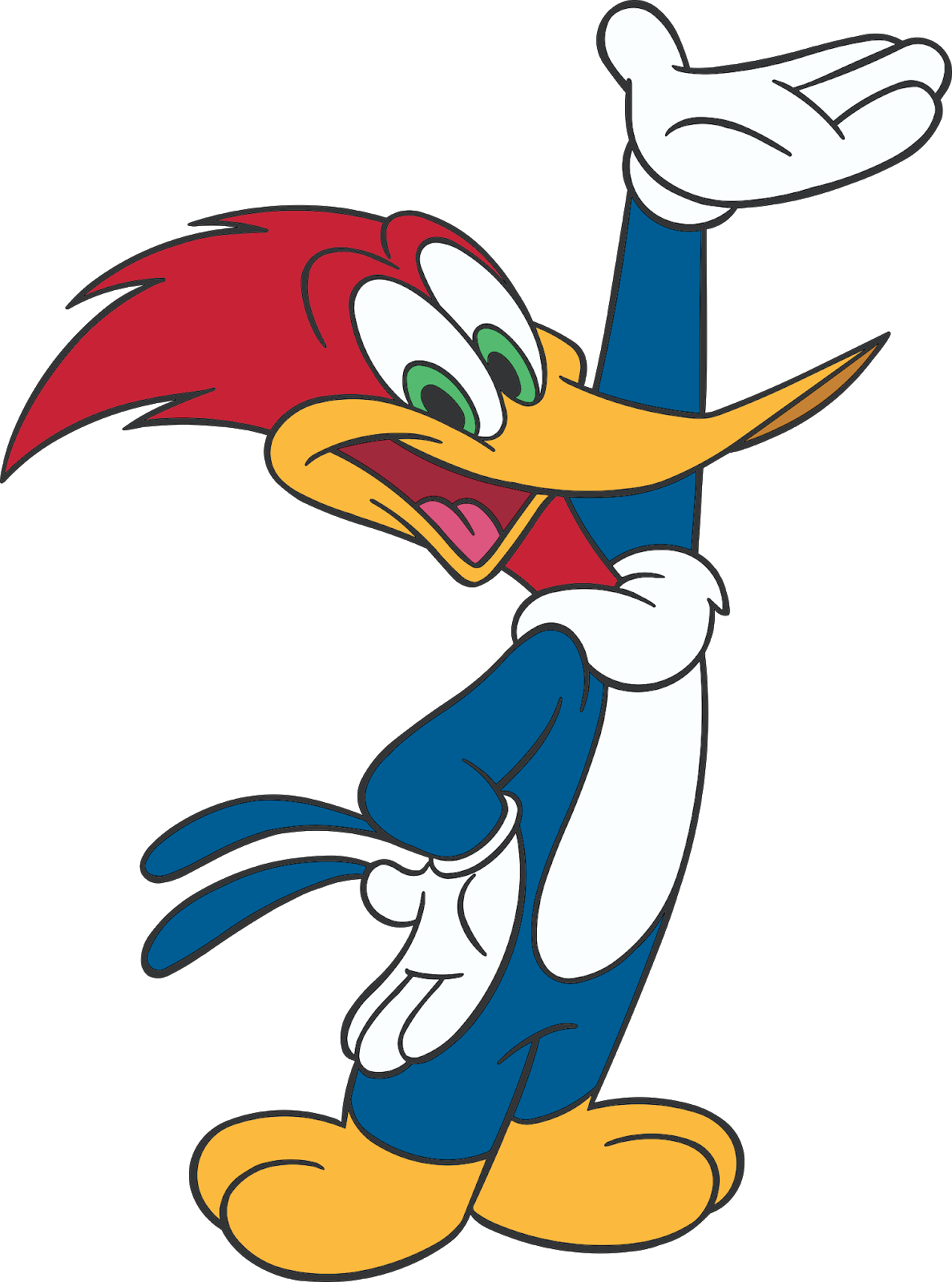 Вуди Вудпекер. Вуни вусбекер. Вуди Вудпекер (дятел Вуди). Дятел Woody Woodpecker.