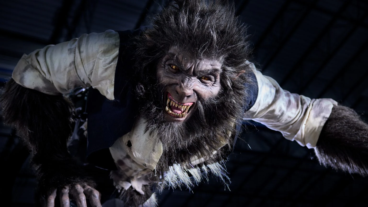 Wolf Man | Universal Parks and Resorts Wiki | Fandom